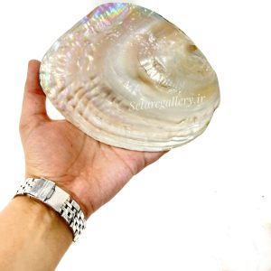 صدف مادر
