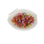 گل خشک ریز آرژانتینی(20 عددی)