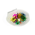گل خشک بابونه مینیاتوری(5 عددی)